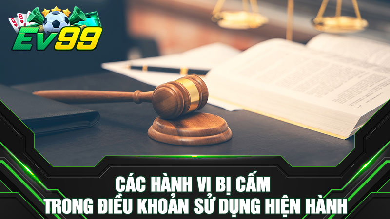 Các hành vi bị cấm trong điều khoản sử dụng hiện hành