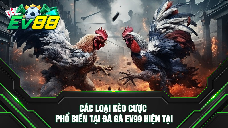 Các loại kèo cược phổ biến tại đá gà EV99 hiện tại