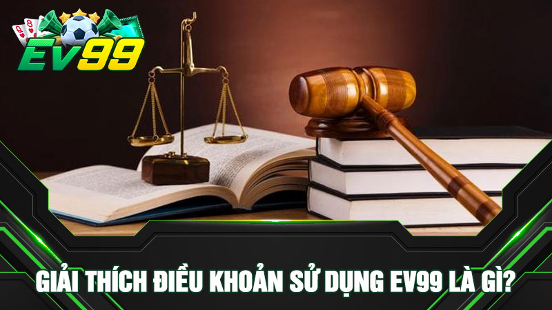 Giải thích điều khoản sử dụng EV99 là gì?
