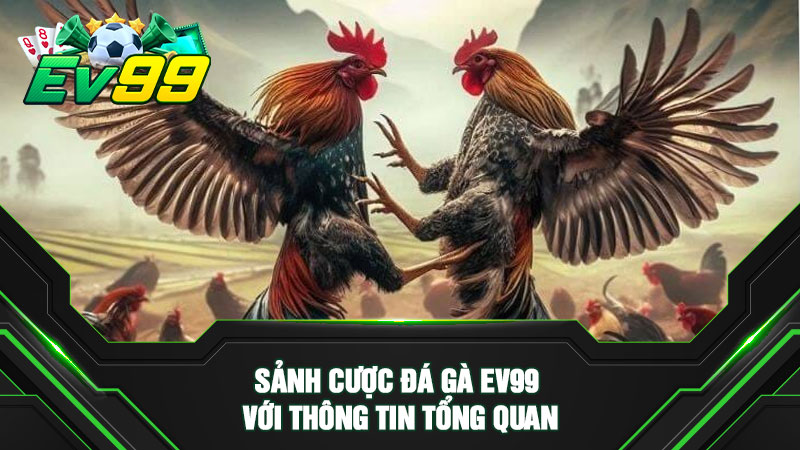 Sảnh cược đá gà EV99 với thông tin tổng quan