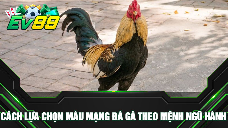 Cách lựa chọn màu mạng đá gà theo mệnh ngũ hành