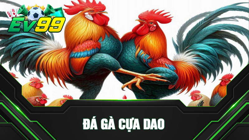 Khám phá bộ môn đá gà cựa dao