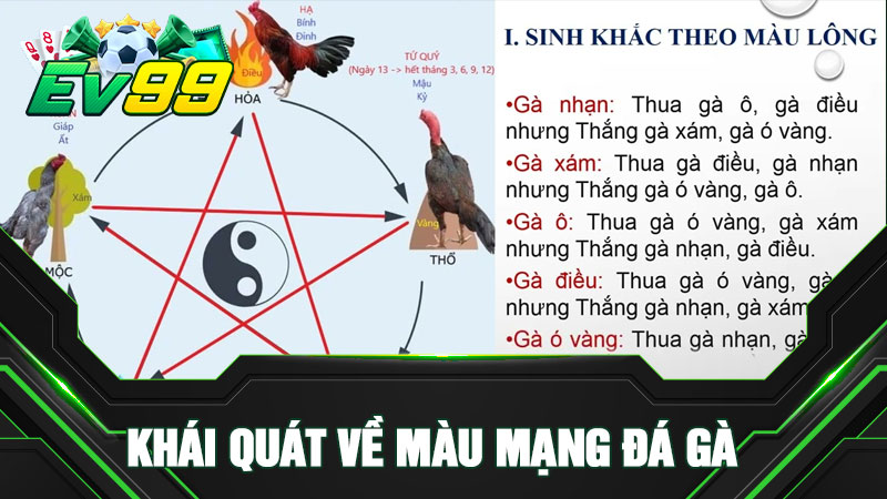 Khái quát về màu mạng đá gà
